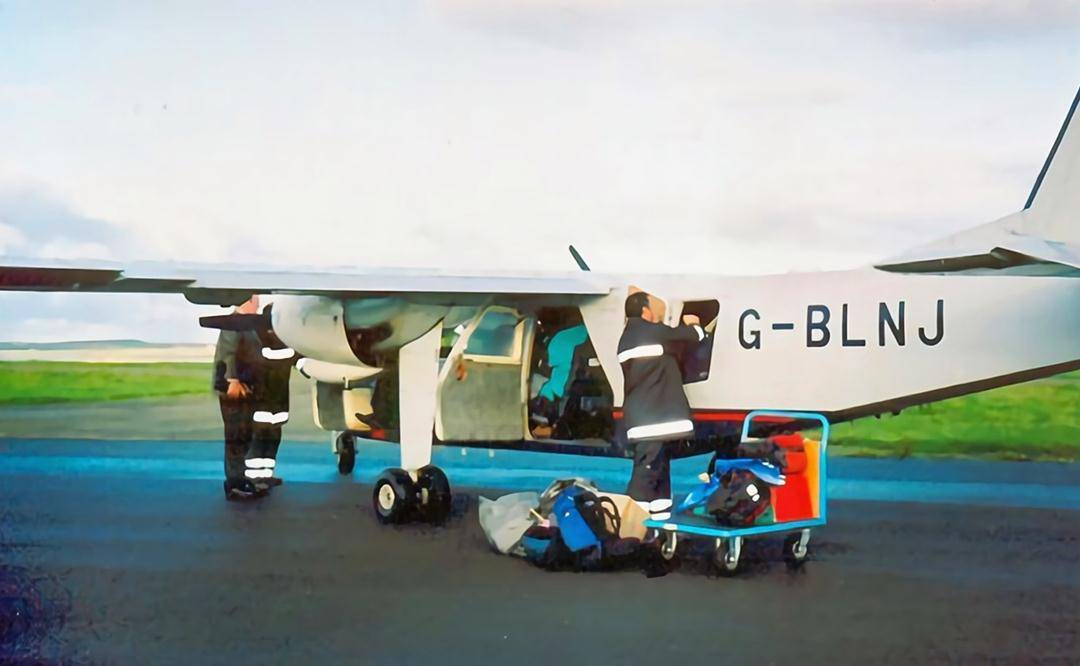 ba88ff12cf4343e1ae7c40ceaba80510.jpeg