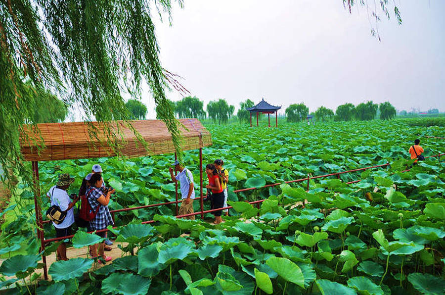 淄博有名的湖 6a6c0540b530447789f8b97bc2f44790.jpeg