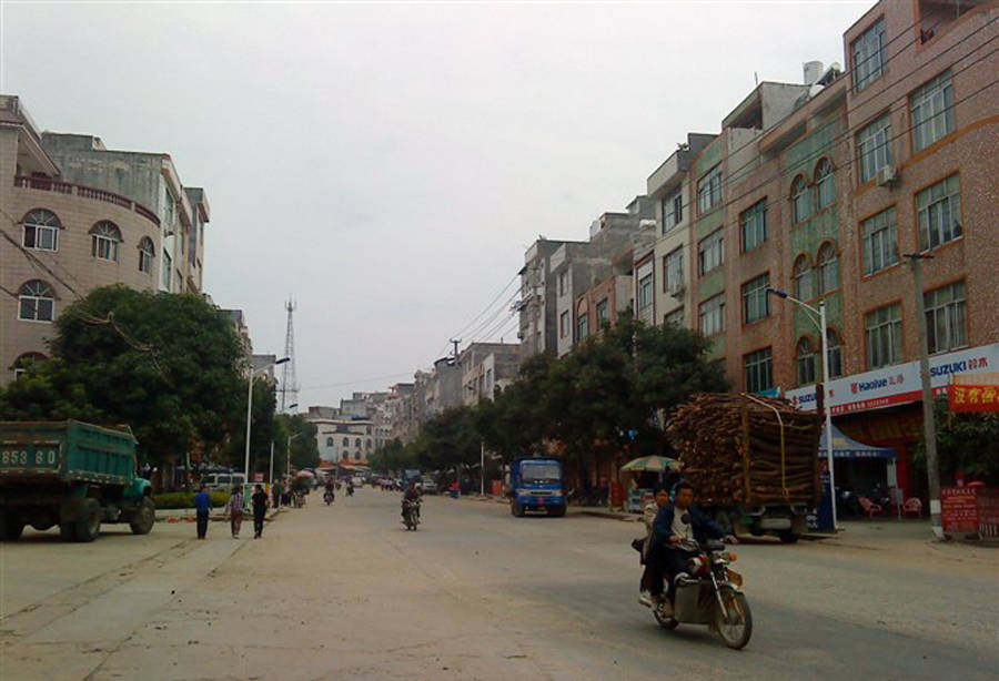 广西玉林容县最大的镇,以水果命名,是全国重点镇之一