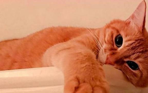 说话 不听 猜成语_看图猜成语(3)