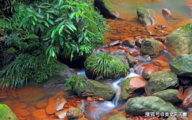 草古人口耳_赋得古原草送别(2)