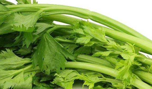 排尿酸最有效的菜 ac2bf2e23a254d99a4a7031c28460fee.jpeg