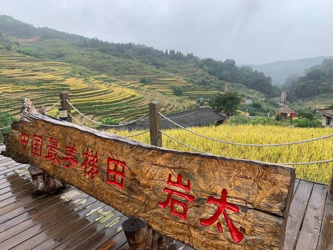 到福建永定岩太村观赏云上土楼梯田