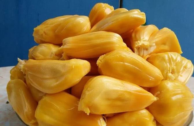 菠萝蜜的籽怎么处理 72c1596b874d4d9fb7f58d44656851b4.jpeg