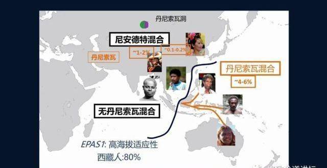 非洲人口成分_非洲人口增长图