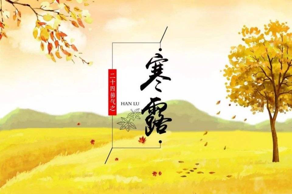 为什么叫寒露节气 ddf40886a4984539906ff0a56c7f570b.jpeg