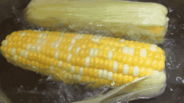 1613d544f71c4fba922eba99f79ce34f.gif