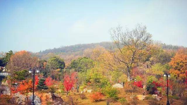 自驾安徽江淮岭脊线,一路上都是惊喜. 第一天:滁州琅琊山-凤阳明皇陵.