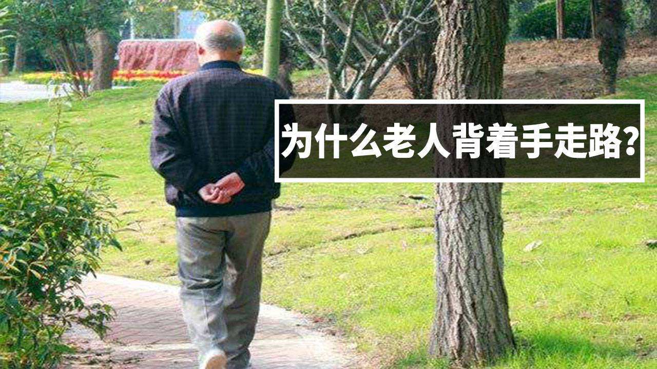 俗语"龟背蛇腰不可交,瞟眼看人不用刀",啥意思?老祖宗