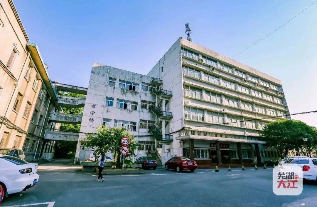 文章配图-19