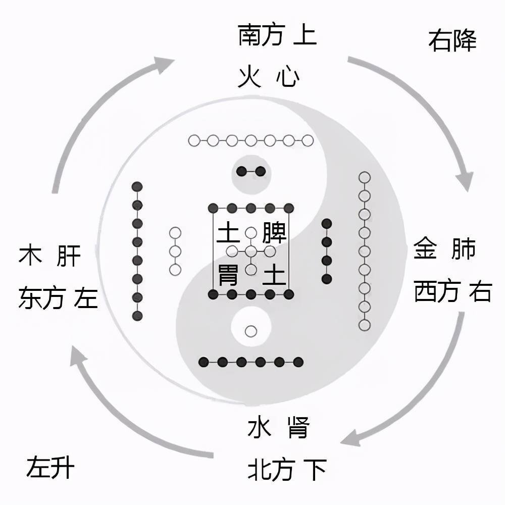 古中医精华:一气周流核心思维_黄元御