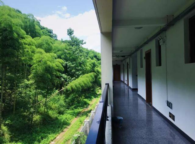 江浙|妈耶~夏天怎么可以不去安吉？