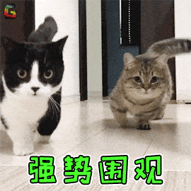 文章配图-4