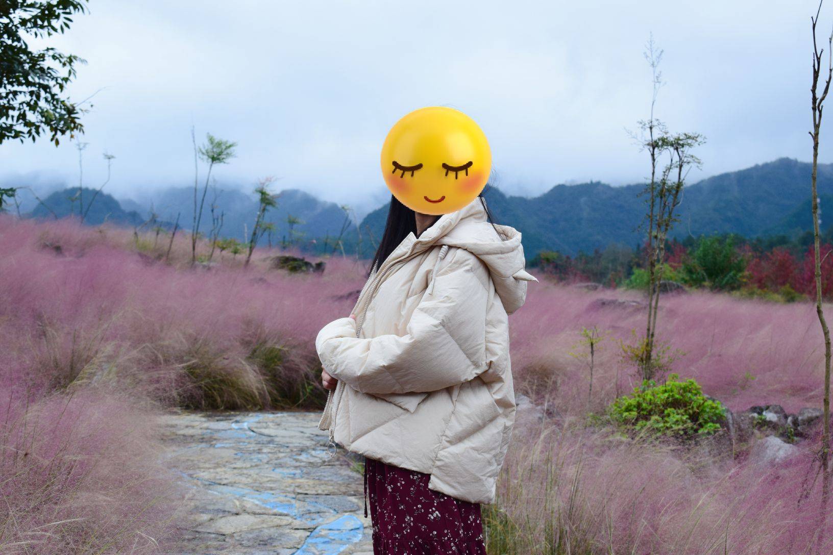 4adbb4cf5f344ab99d3a4924d4573dea.jpeg