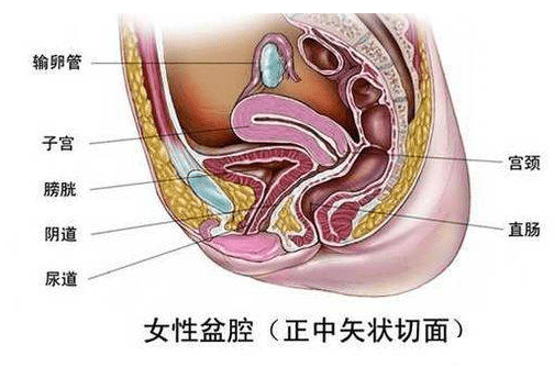a9e0bc678a4545378f7ec839c4174296.png