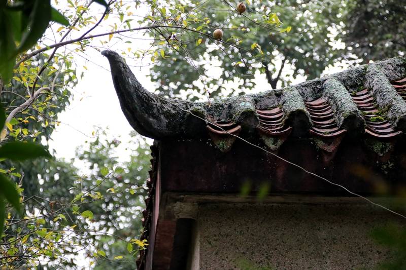 文创园|重庆三橙体育把老旧仓库变成时尚文创园！