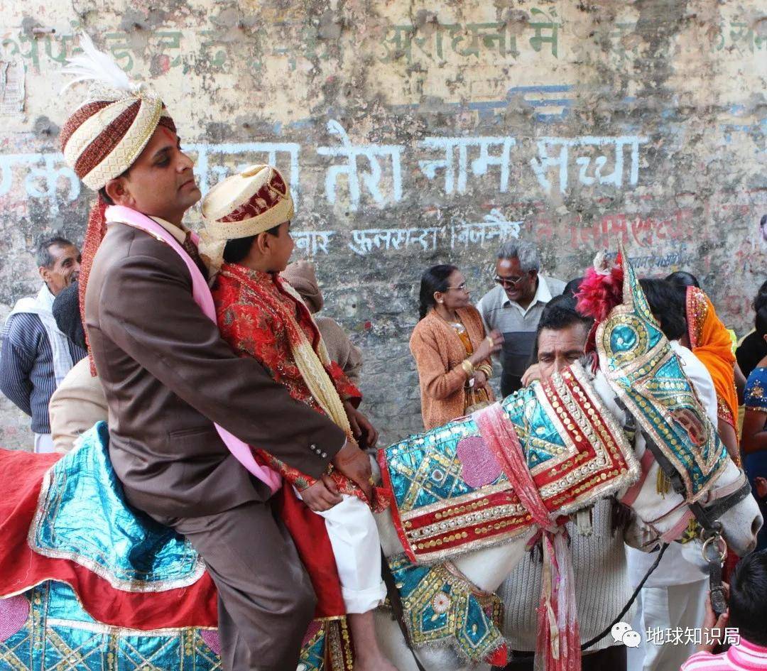 在印度,娶一个女生能拿多少彩礼钱?|地球知识局