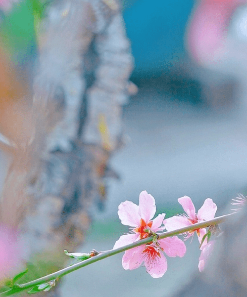 79fc52a161714069b03ff84e3fd03170.png