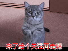 主人不在家时，为什么狗狗要上你床？原因有7个！