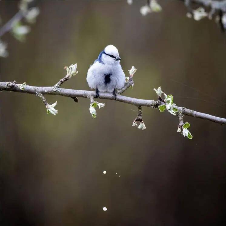 安全感|喵和鱼睡一起,是不是更有安全感?