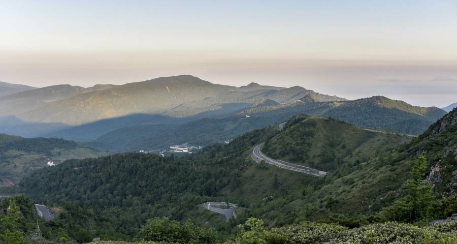 市场客户向左走，家电企业向右走-家电圈官网