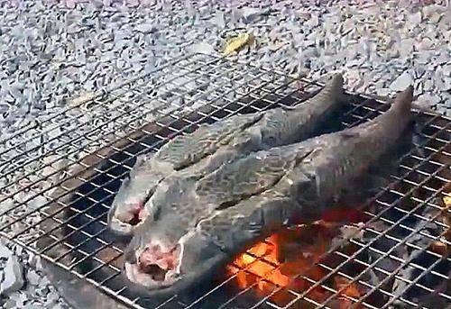 越南|却成越南美食，当地人：你们不懂它美味中国吃货都“没辙”的物种