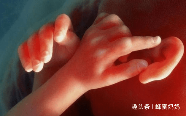 反应|恭喜你，你家宝宝“智商超高”在孕期要是有这3种“特殊反应”