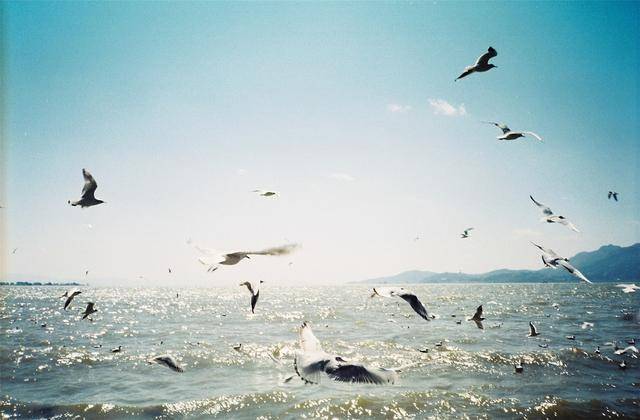 2020上半年云南各地g_2020云南怒江澡堂会