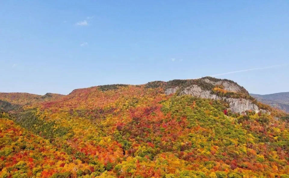 海信京东强势联手，双十一前引爆OLED电视消费大潮-家电圈官网