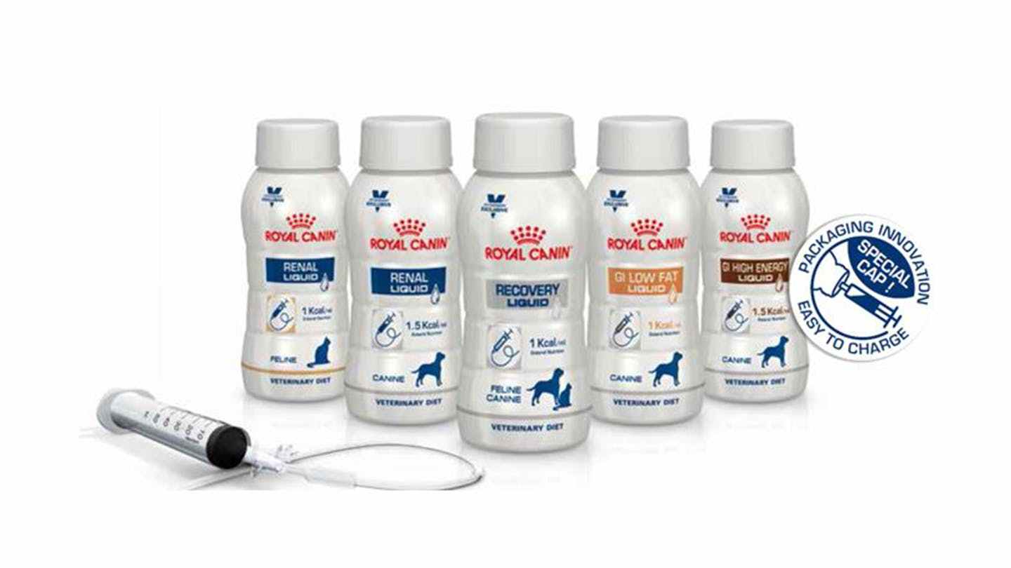 品牌|一天一个国外的猫粮狗粮品牌--欧洲第一品牌“法国皇家ROYAL CANIN”