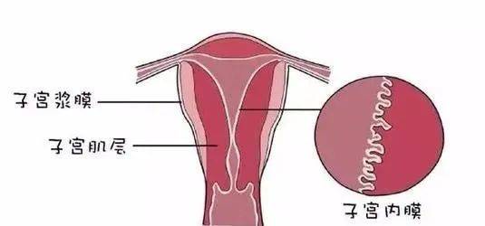 原创子宫内膜厚了也不能大意