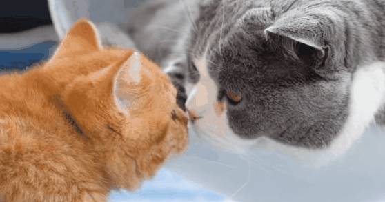 b8454f839e764c53b427c89582aa0ae7.jpeg