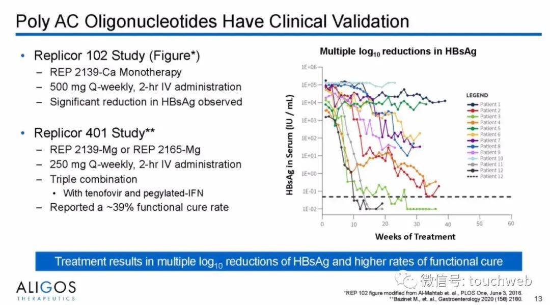 Capital|治乙肝的Aligos冲刺美股：拟募资上亿美元 路演PPT曝光