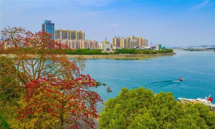 河源人均gdp_河源恐龙博物馆(2)