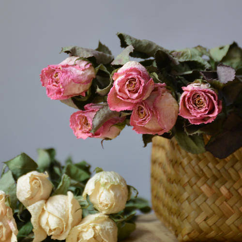 高档干花 903de446793c4ba2a0150e9ef3021cf8.jpeg