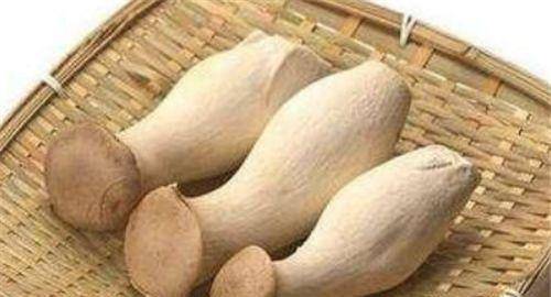 bfc93d3fa65e403f97b8d37b998fecf9.jpeg