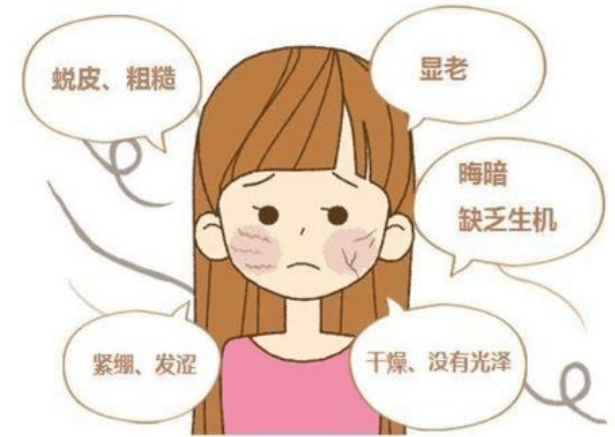 43076853fa0b42b9944c3ced45d56c42.png