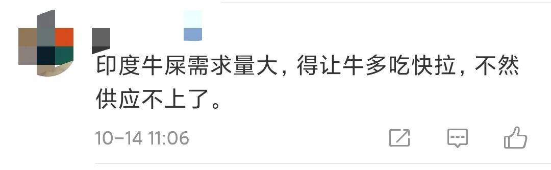 我们认输！印度率先推出牛粪芯片