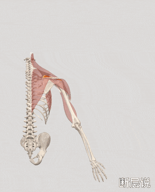 500_619 竖版 竖屏