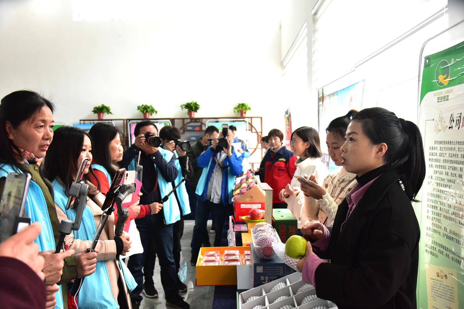 魅力|金秋送爽魅力果乡，白水苹果亿万人民的口福!