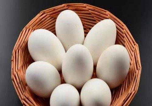 食用|孕妇为什么要吃鹅蛋？吃鹅蛋好吗？