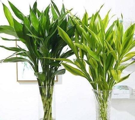 d344e88875f44eb79dcb2e5eb09cee17.jpeg