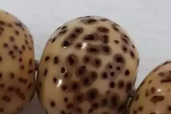 4d23ffa9af0f401e9b4e118a2166c557.jpeg