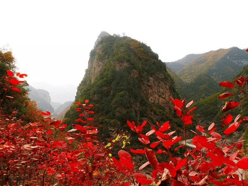 宝鸡凤县灵官峡景区红叶观赏节开幕 金秋赏红叶最佳打卡地|宝鸡凤县灵官峡景区红叶观赏节开幕 金秋赏红叶最佳打卡地