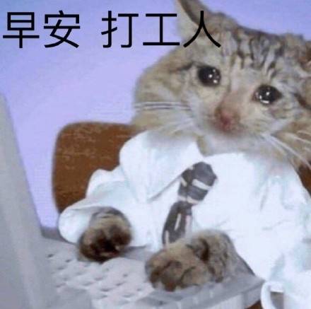 早安,打工人.
