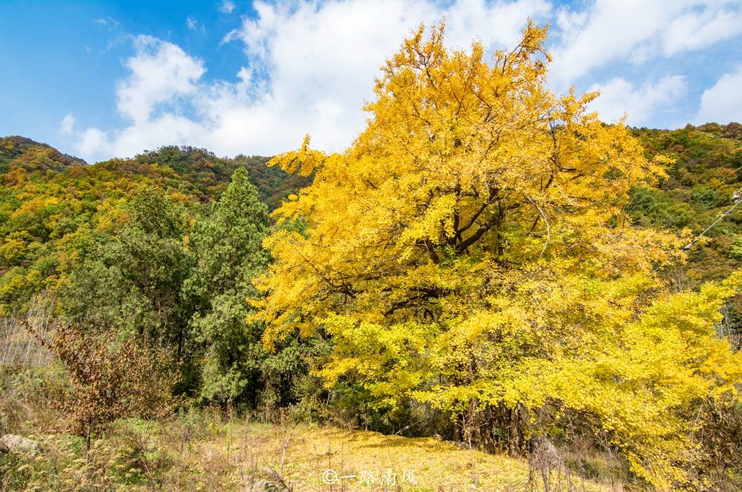 邵阳县五丰铺马草村现有人口_邵阳县塘渡口龙井村(3)