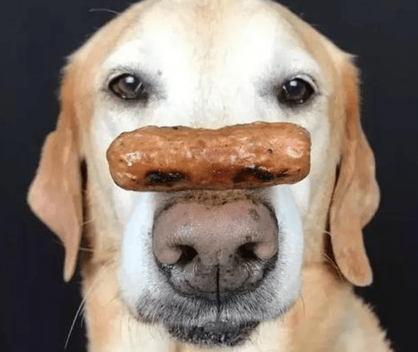 c6910898d5cc402ca05b2d52e34dbfd6.png