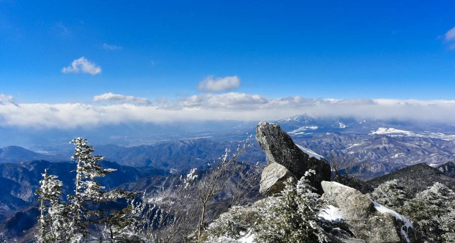 双十一前夜家电市场出现新变化-家电圈官网
