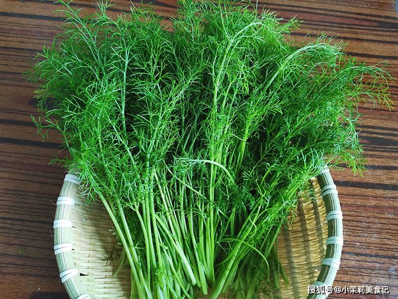 冬天能种茴香吗 f5a8ce0003714e92a63111bfe092a7d9.jpeg