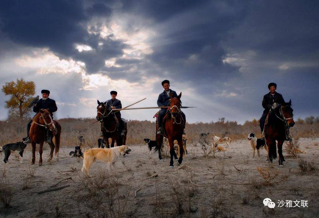 活动|沙雅十六万元摄影大奖等您拿！